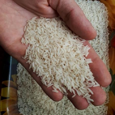 انواع برنج شمال را بهتر بشناسیم