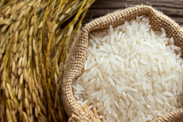 بررسی میزان مصرف برنج