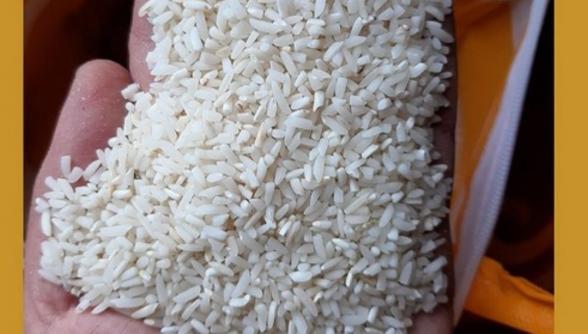 خرید مستقیم برنج سرلاشه طارم از کارخانه
