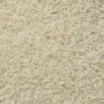 برنج طارم هاشمی گیلان