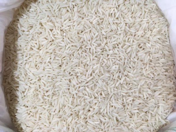 برنج شیرودی خوشپخت مازندران