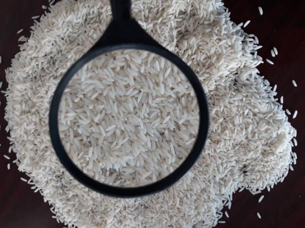 فروش بهترین انواع برنج فجر شمال