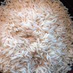 برنج دم سیاه ایرانی گیلان