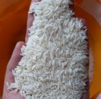 برنج ایرانی عطری فریدونکنار
