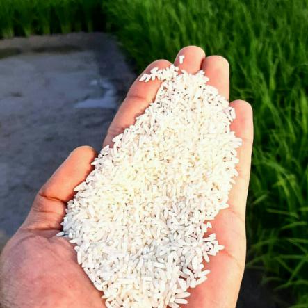 برنج ایرانی هاشمی دودی
