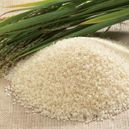 روش مطمئن برای تشخیص برنج تقلبی از اصل
