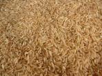 برنج سبوس دار با کیفیت شمال