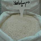 برنج ایرانی دم سیاه