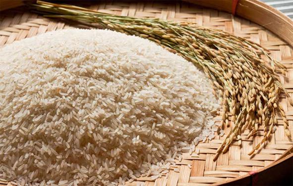 ارائه دهنده برنج عنبر بو کیلویی