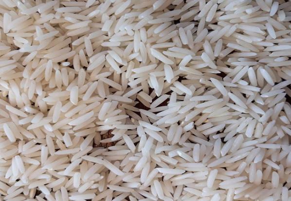 آشنایی با انواع برنج طارم