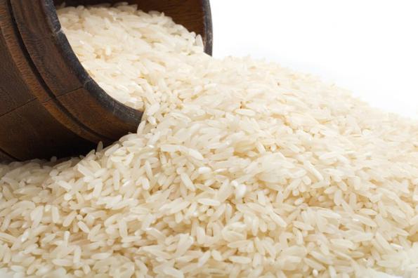 فروش فوری برنج طارم شمال