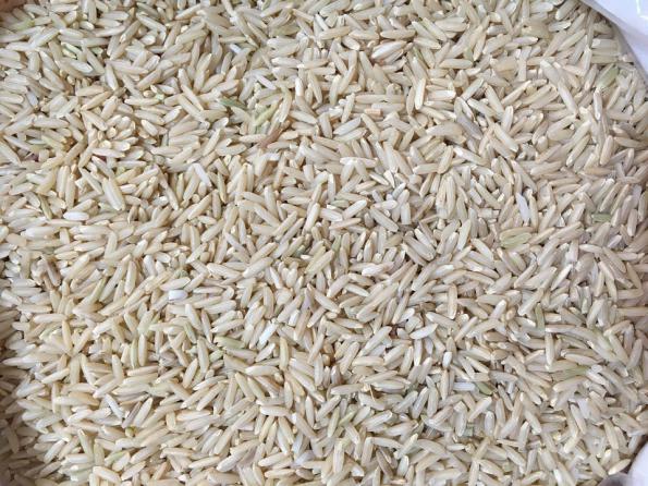 برنج هاشمی معطر ۱۰ کیلویی