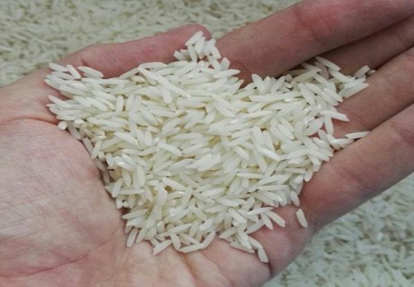 مشخصات بهترین برنج طارم