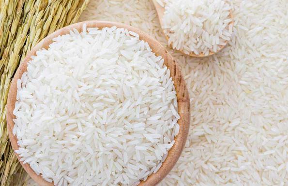  برترین توزیع کنندگان برنج عنبر بو عطری