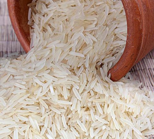 برنج دم سیاه صادراتی معطر