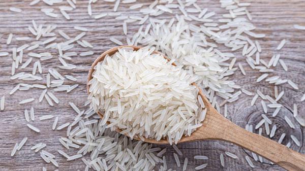 برترین فروشندگان برنج شمال اعلا ویسادار