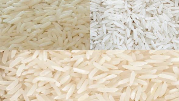 بازار خرید برنج هاشمی معطر
