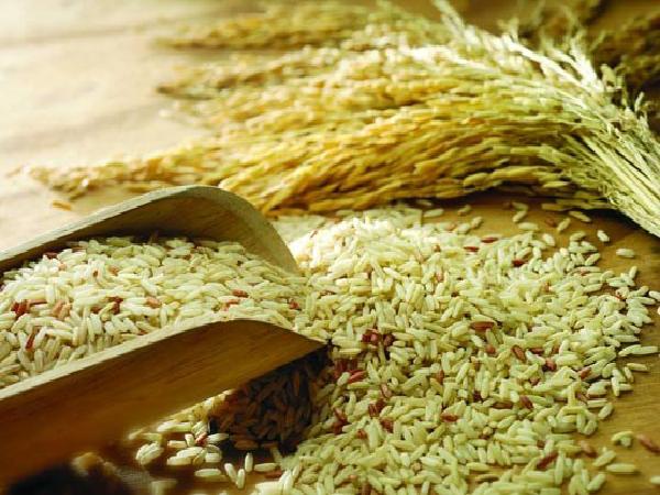 فروش مستقیم برنج عنبر بو ارزان قیمت