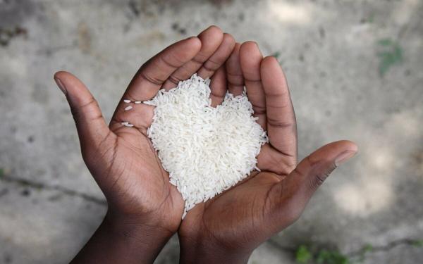 تقویت سلامت قلب با برنج