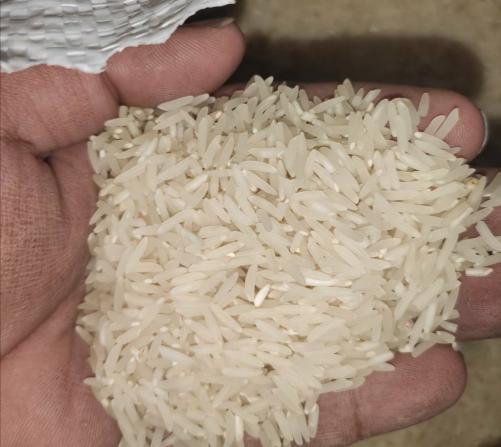 بازار فروش برنج دمسیاه صادراتی
