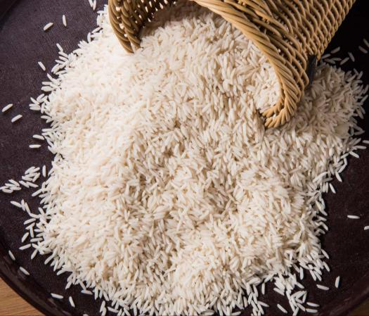 برنج طارم فجر گرگان