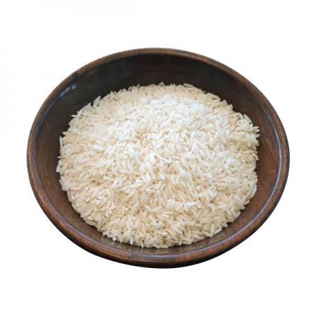 معرفی ارقام مختلف برنج شیرودی