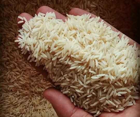 منظور از برنج شیرودی چیست؟