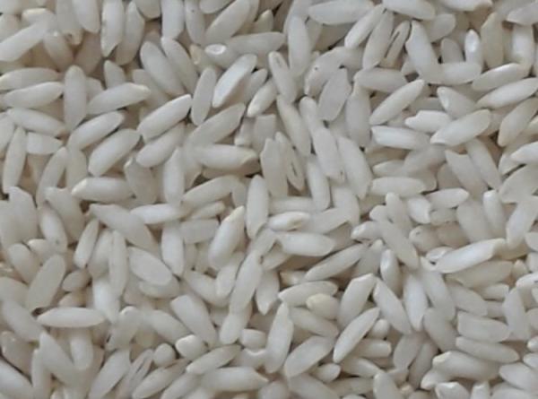 خرید برنج عنبربو کیسه ای خوزستان