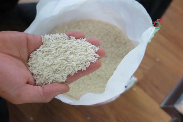 قیمت روز برنج محلی 20 کیلویی شمال