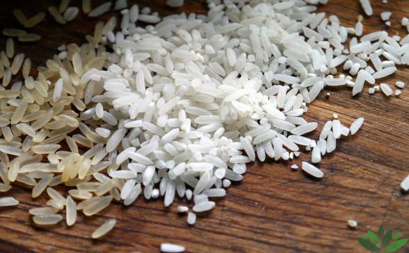 برنج فجر اعلا ۱۰کیلویی