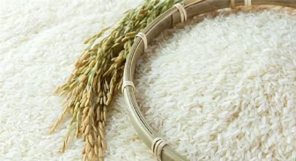 خرید برنج ایرانی ارزان قیمت