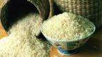 فروش برنج ایرانی عمده ای