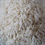 عرضه برنج هاشمی فریدونکنار صادراتی