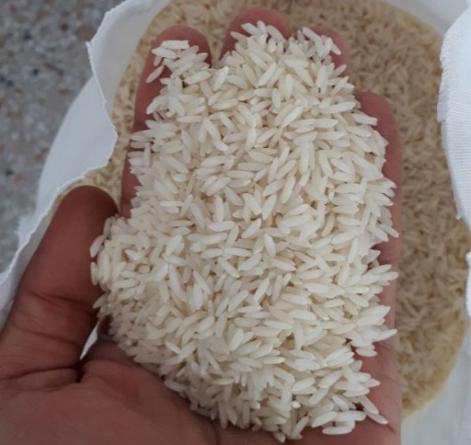 فروشنده برنج طارم کشت دوم اعلا
