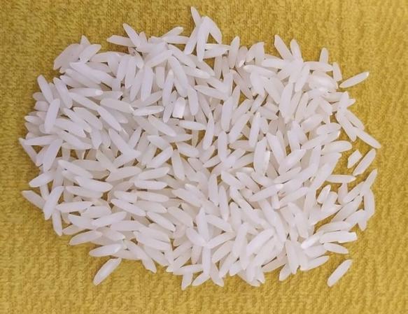 قیمت برنج فجر سوزنی گرگان