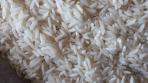 برنج ایرانی شمال در تناژ بالا