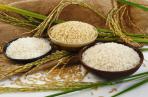 انواع برنج هاشمی اشرافی
