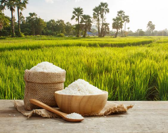 برنج هاشمی چه مشخصاتی دارد؟