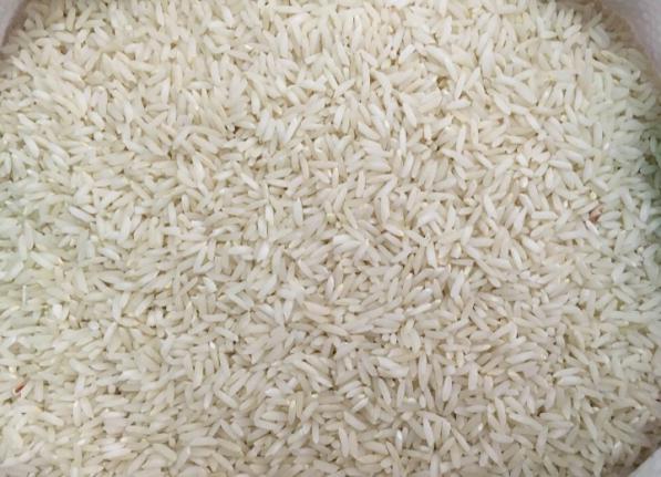 نمایندگی فروش برنج طارم گیلان