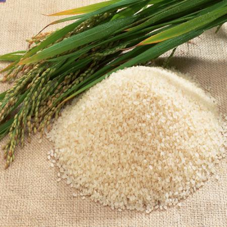 عرضه برنج‌هاشمی‌نیم‌دانه‌صادراتی
