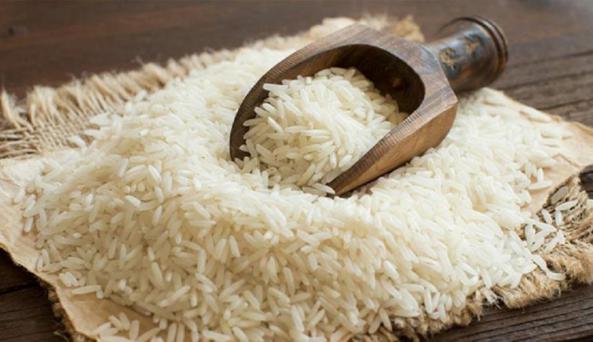 پخش بهترین برنج ایرانی طارم