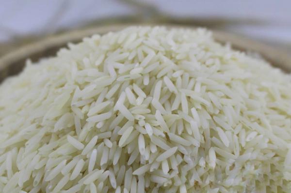عرضه برنج دم سیاه دودی صادراتی