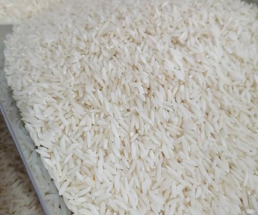 تولیدکنندگان برنج طارم هاشمی درجه یک