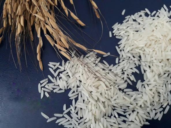 خصوصیات برنج دم سیاه ایرانی