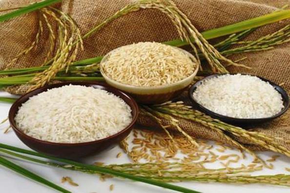 خصوصیات برنج ایرانی فجر چیست؟