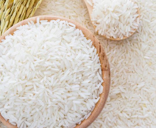 قیمت خرید برنج عنبر بو به صورت عمده