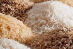 برنج هاشمی طلایی