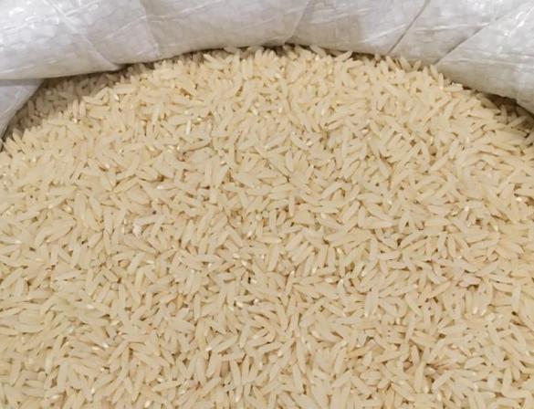 برنج فجر صادراتی