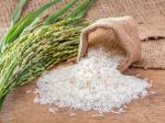 برنج هاشمی کشت اول