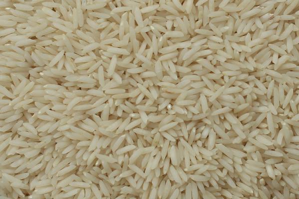مراکز فروش برنج طارم اشرافی